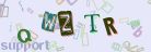 This is a captcha-picture. It is used to prevent mass-access by robots. (see: www.captcha.net)