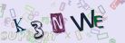 This is a captcha-picture. It is used to prevent mass-access by robots. (see: www.captcha.net)