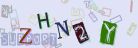 This is a captcha-picture. It is used to prevent mass-access by robots. (see: www.captcha.net)